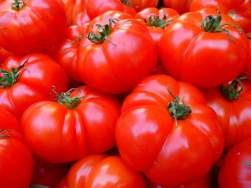 La proteina que ayudo a aumentar cien veces el tamano de los tomates