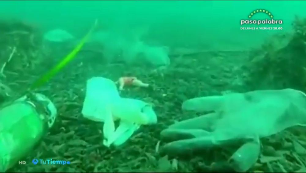 Las mascarillas inundan el mar: "Podría haber más mascarillas que medusas en los próximos años"