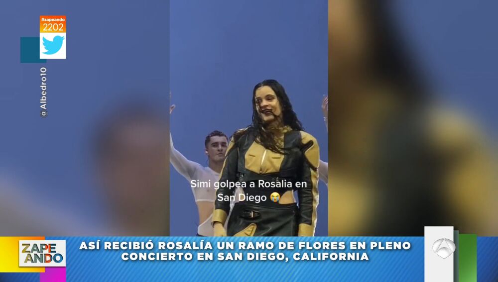 La repuesta viral de Rosalía cuando le tiran un ramo de flores a la cara durante un concierto 