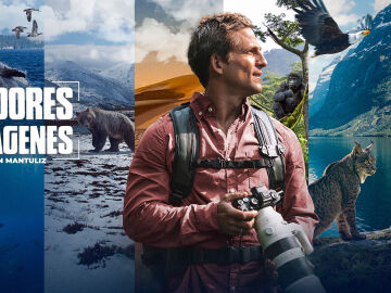 Cazadores de imágenes Cazadores de imágenes