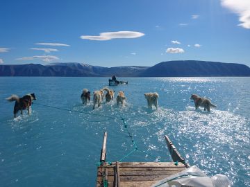 La nueva imagen viral del calentamiento global Groenlandia: agua donde había hielo