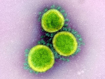 La OMS confirma que el coronavirus no viaja libremente por el aire sino en gotas